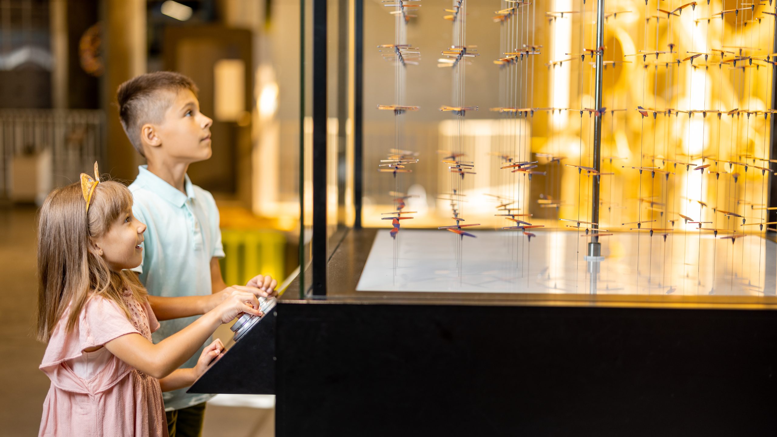 sortie éducatives avec des enfants