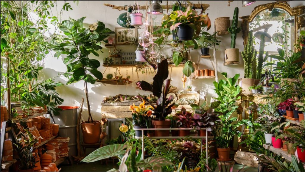 les plantes et les enfants